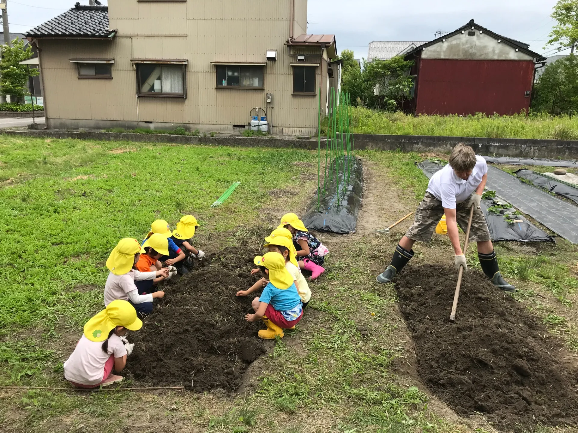 幼稚園で野菜栽培に取り組む富山県の特色と食育体験の魅力