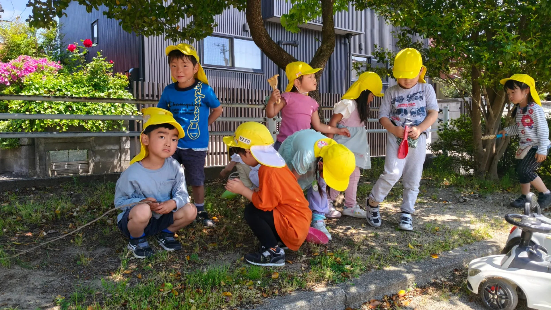 幼稚園での健康指導を射水市で受ける方法と実務的な流れを徹底解説